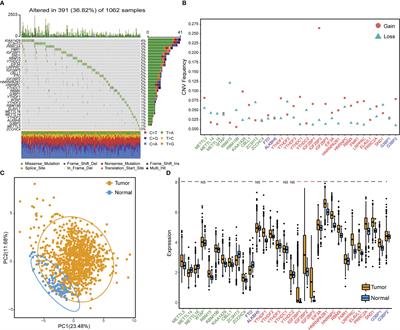 m6A regulators featured by tumor immune microenvironment landscapes and correlated with immunotherapy in non-small cell lung cancer (NSCLC)